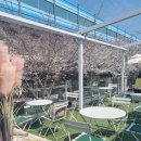 샌드비(SandB) 이미지