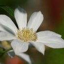 전원어린이집 이미지