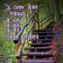 고망 이미지