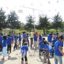 송풍초,용담중 이미지