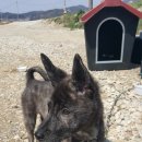 호피농장 이미지