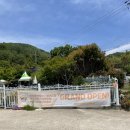 어곡128 | 양산 400평대 대형 애견카페 누꼬누꼬
