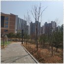 보람부동산공인중개사사무소 이미지