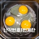 자연푸드 | 확실히 다른 난각 번호 1번 계란 자연방사 유정란 요리 올바른 푸드 후기
