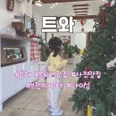 차밍디쉬 | [동해] 트와 | 사진맛집 브런치카페 | 파인다이닝 | 반려동물 동반 가능