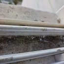 디디시스템 이미지