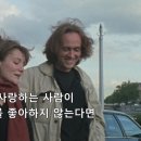 강아지의 하루 이미지