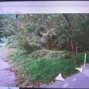 양지-2772 이미지