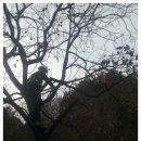 은덕농장 이미지