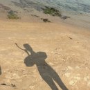 CU 포항오천점 | 포항여행 2편 (오도리해수욕장, 스노클링, 해뜨는오도펜션, 신선로횟집)