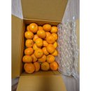 중귤농장 이미지