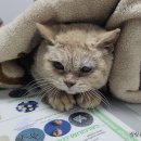 티움동물병원 이미지