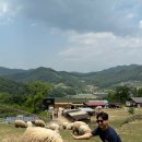 유포리목장 이미지