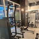 하이프(HIFE) 이미지