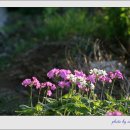 장터풍경 이미지