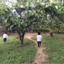 봉암어린이집 이미지