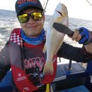 대사리약국 | 악천우 마검포 왕백조기 TEAM MJT 정출 후기[23.07.22] - 배멀미약(노량) 없음 클날뻔