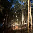 인피니티오션풀빌라 이미지