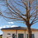 읍내리(인서리)공원 이미지