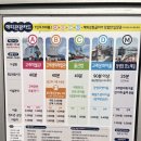울산 장생포 고래생태체험관 고래문화마을 모노레일 라벤더 수국 아이랑 솔직후기