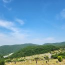 삼덕공원 앞 이미지