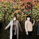 인천국민안전체험관 이미지