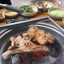 대숲골농원 Daum카페