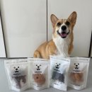 뚱띠레이 이미지