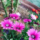 도당동행정복지센터 이미지