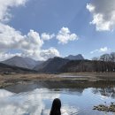 그린나무영월 이미지