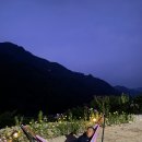 영이네민박 이미지