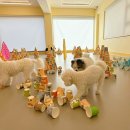 단짝멍몽 이미지