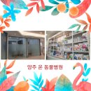 양주 온 동물병원 이미지