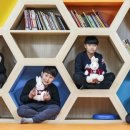 영웅호걸 태권도 이미지