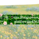 대전조돈길 이미지