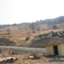 청송목장 이미지