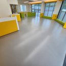 개바라기 이미지