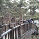 칠보산자연휴양림 이미지