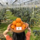 명월농장 이미지