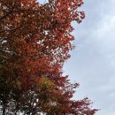 몽미락센터 회의실 | 가을 나들이 기록과 단상들