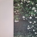 유림커피 이미지