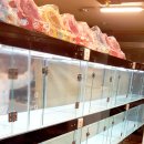 코리아애견샵 이미지