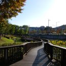 궁동생태공원 이미지