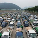 청도비닐 이미지