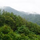 양계봉. 양계산. 대명산. 대등산(426m). 맨접발산.뒷산. 신모산.안산(삼당봉) .고철산(180). 덤밑산(127)/경북 청도 이미지