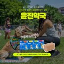 윤진약국 이미지