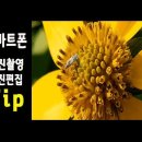 스마트폰사진촬영과 편집 이미지