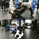 팀크러쉬주짓수