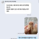 바이오크루 | 내돈내산 평택 문제성발톱 내성발톱 무좀 페디바이오 페디크루 솔직 후기