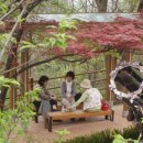 중년과새싹 이미지